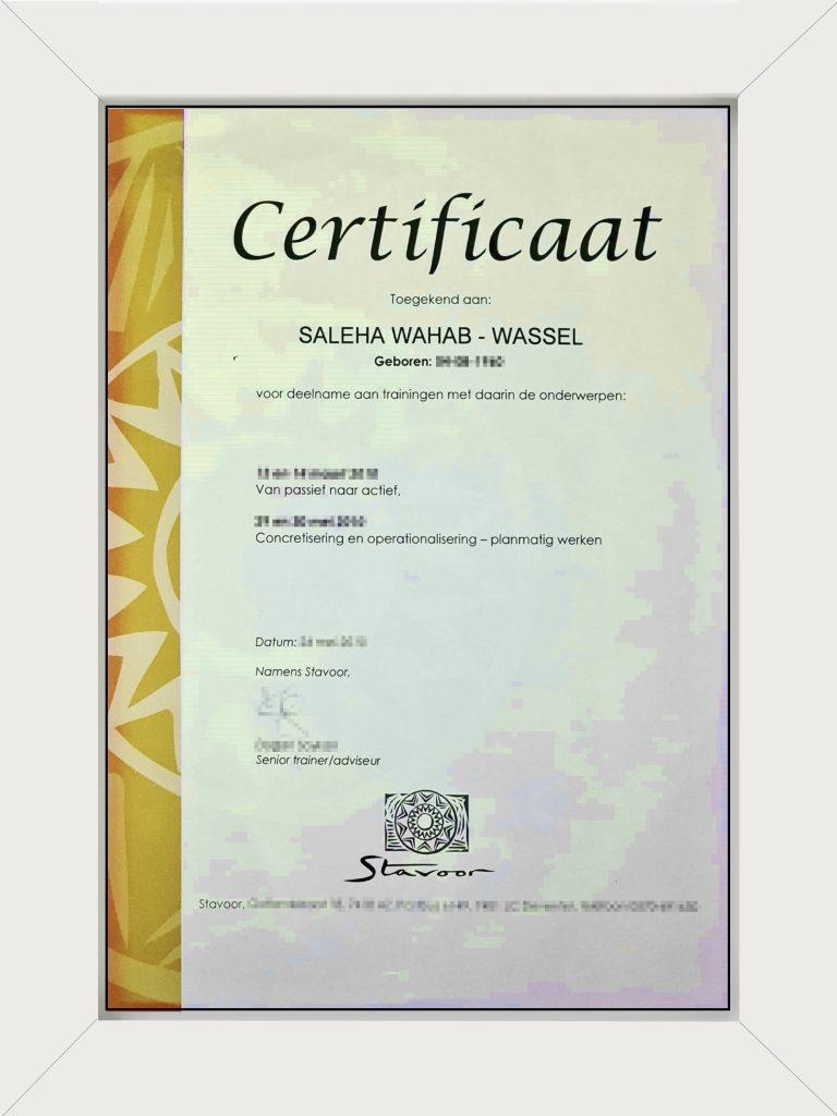certificates of Saleha Waheb Wassel